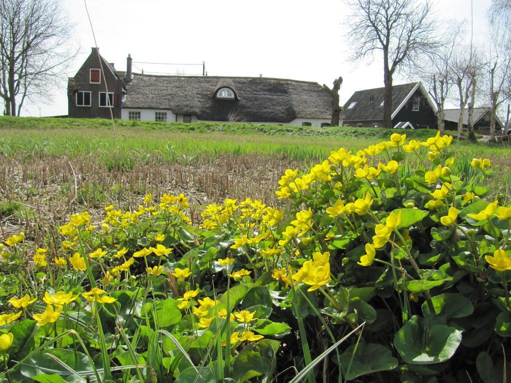 Boerderij Honswijck Guest House Weesp Bagian luar foto