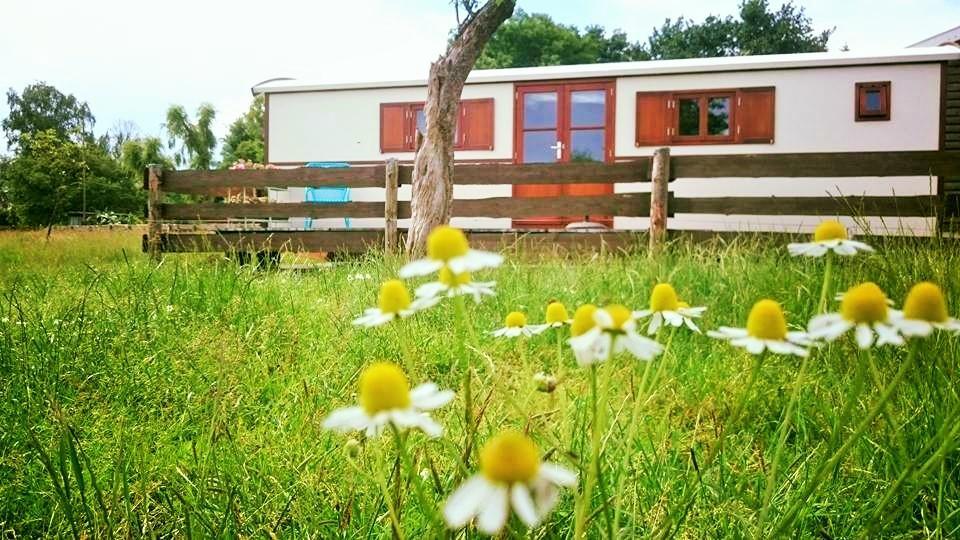 Boerderij Honswijck Guest House Weesp Bagian luar foto
