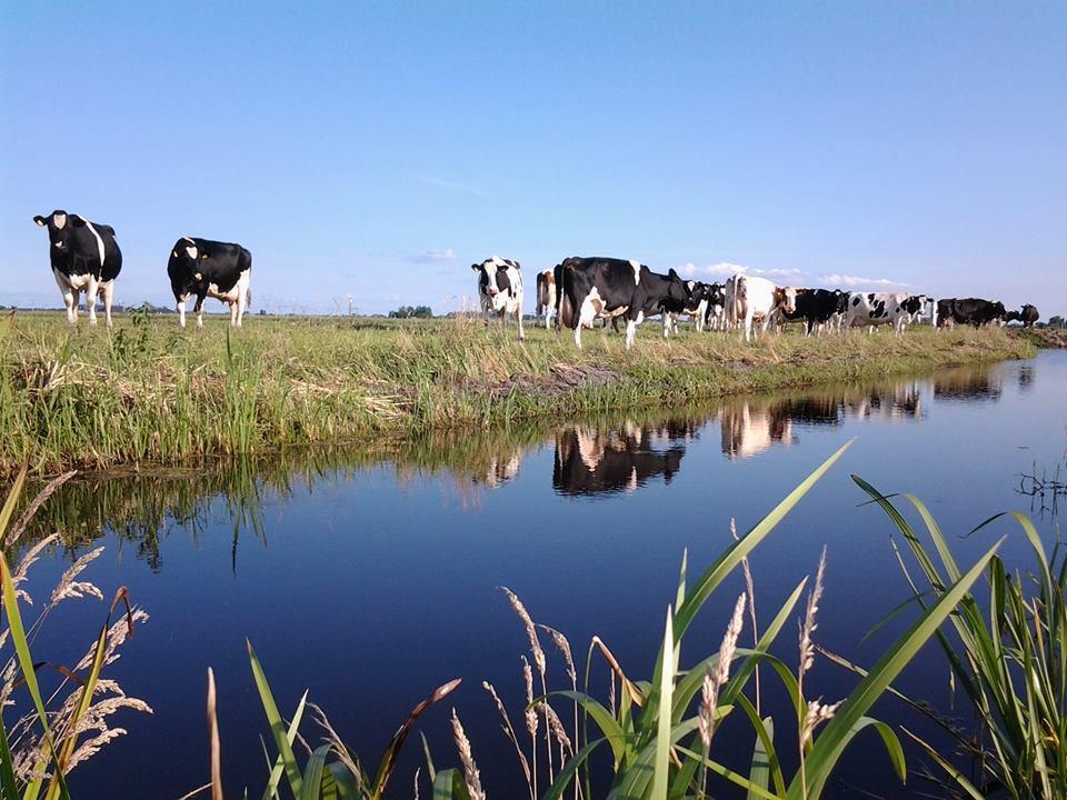 Boerderij Honswijck Guest House Weesp Bagian luar foto